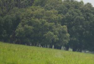 2013_06_15_13_00-007.jpg