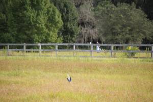 2013_10_05_10_44-004.jpg