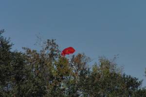 Estes Screaming Eagle