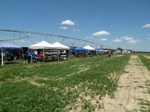 Longish flight line (for the Sod Farm)