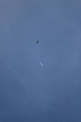 Mike's Bomarc