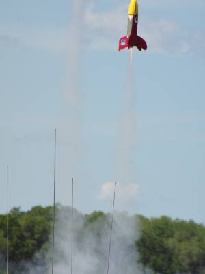 Pigasus vs. Angry Bird Drag Race