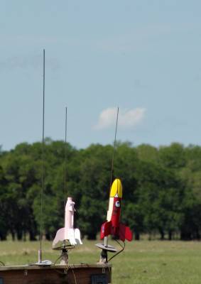 Pigasus vs. Angry Bird Drag Race