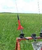 Bill Eichelberger's ****Estes - Big Dawg