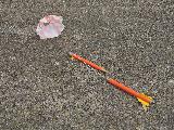 Steve Lindeman's Orange FUBAR