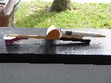 Steve Lindeman's Swift-BG