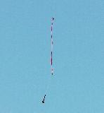 Rich DeAngelis's Black Diamond