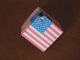 Steve Lindeman's USA Cubit - Version 2.0